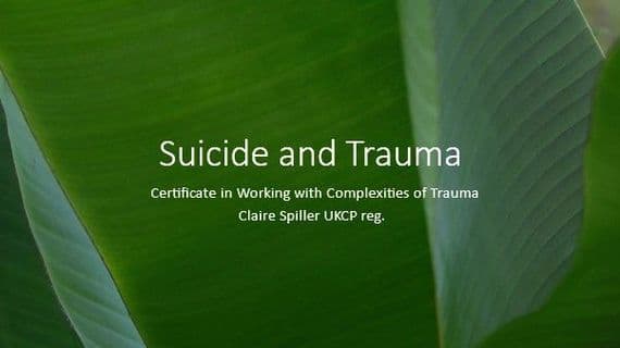 Suicide and Trauma 20th June 2027 - Claire Spiller (Online)
