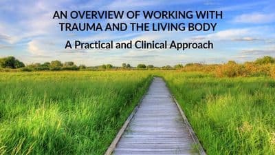 Trauma 7 8 9 November 2025 - Claire Spiller (Online)