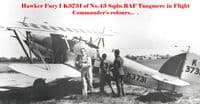 1:48 INPACT HAWKER FURY (P102),1968