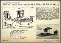 1:48 MERIT SUPERMARINE WALRUS (4750)