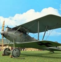 32006, PFALZ D.IIIA, 2010.