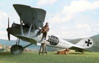 32006, PFALZ D.IIIA, 2010.