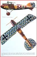 ALBATROS SCOUTS DESCRIBED