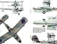 PROFILE 224 WALRUS & SEAGULL VARIANTS