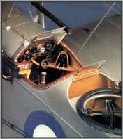 Volume 15 No. 3 - May/June 1999