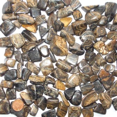 Fossilised Stromatolite Tumblestone