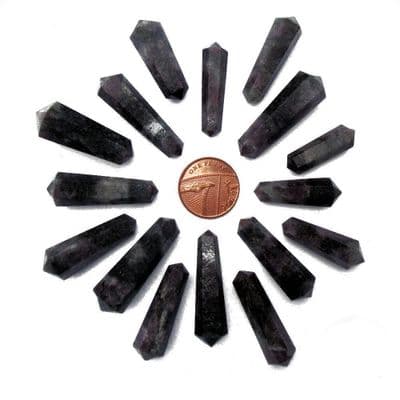 Garnet in Hornblende DT Vogel Wand