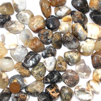 Merlinite Dendritic Opal Tumblestone