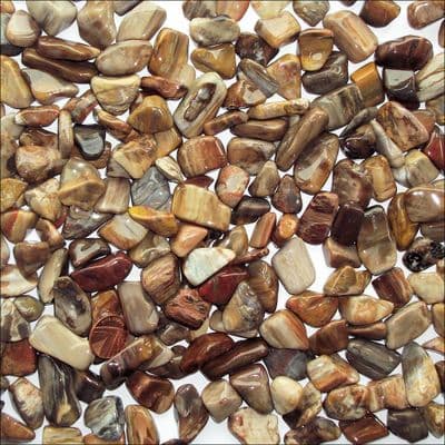 Petrified Wood Tumbled Stone