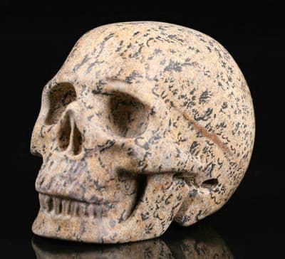 Picture Jasper Realistic Hand Carved Gemstone Crystal Skull 2