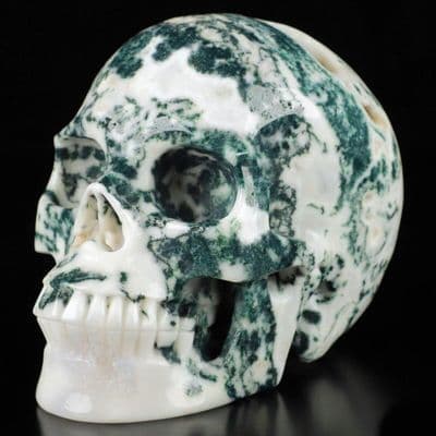 Tree Agate Realistic Carved Gemstone Crystal Skull 5