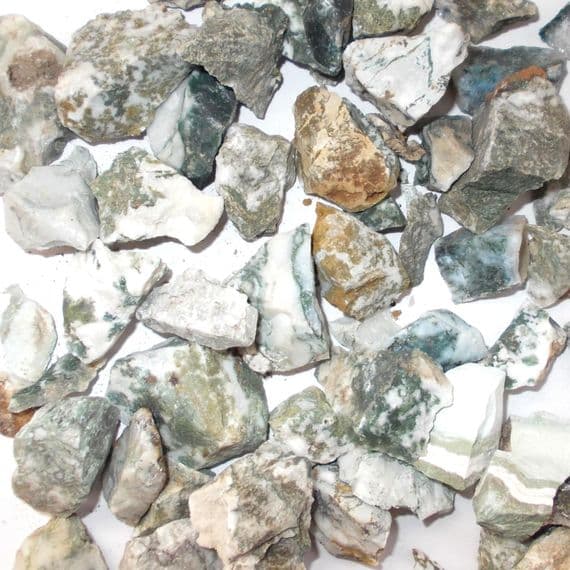 Tree Dendritic Agate Mineral Specimen 20g