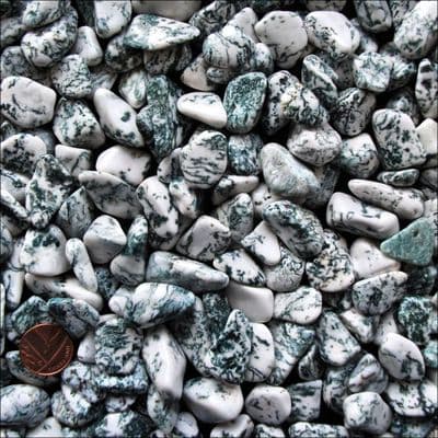 Tree Dendritic Agate Tumble Stone