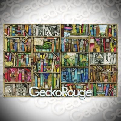 Bizarre Bookshelf by Colin Thompson Modern Cross Stitch Art Kit - Extra Large Kit
