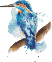 Kingfisher by Splatter Works Art Modern Cross Stitch Art Kit
