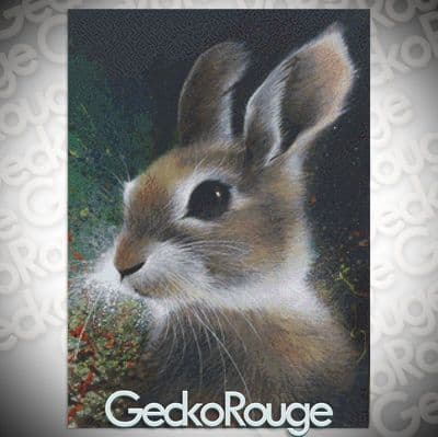 Night Rabbit by David Finney Modern Cross Stitch Art Kit