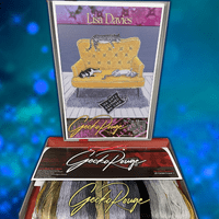 No Cats Allowed by Lisa Davies- GeckoRouge Modern Cross Stitch Kit