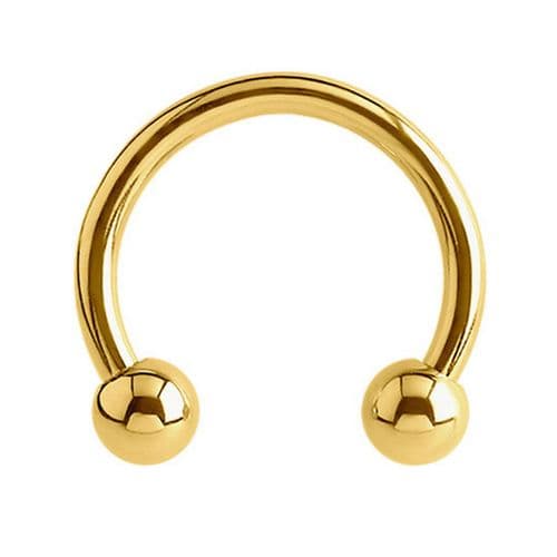 Gold Plated Horseshoe Barbell