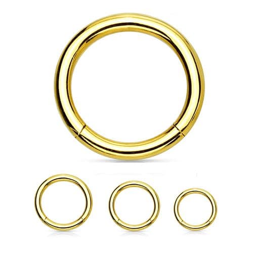 Gold Plated Segment Ring