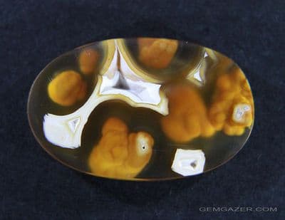 Agatized Fossil Coral cabochon, Tampa Bay, Florida, USA.  20.01 carats.