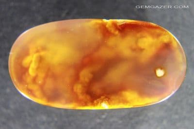 Agatized Fossil Coral cabochon, Tampa Bay, Florida USA.  21.96 carats.