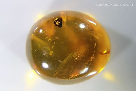 Amber cabochon with Acacia Flower inclusion, Dominican Republic. 18.68 carats / 3.78 grams.