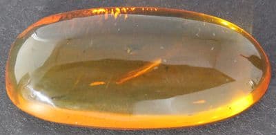 Amber cabochon with Beetle inclusion, Dominican Rep.   35.26 carats.
