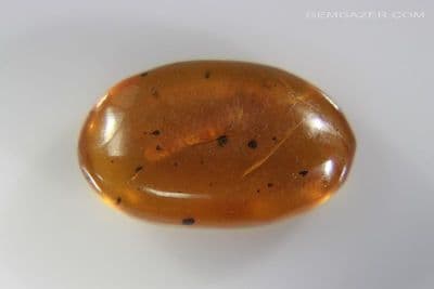 Amber cabochon with Centipede insect inclusion, Myanmar. 2.50 carats / 0.50 grams.