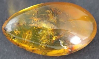 Amber cabochon with Dolichopodidae inclusions, Dominican Rep. 7.27 carats.