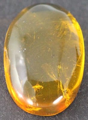 Amber cabochon with Empydid Fly inclusion, Dominican Rep.    4.49 carats.