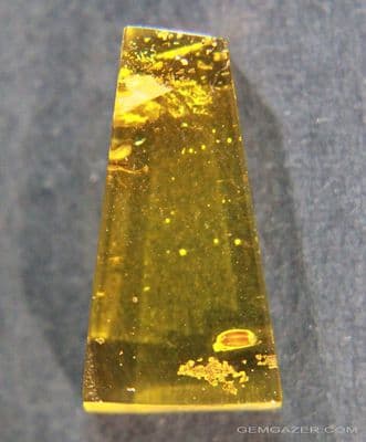 Amber cabochon with False Flower Beetle inclusion, Baltic region.  2.27 carats.