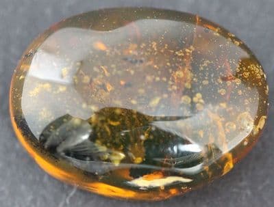 Amber cabochon with Flower inclusions, Dominican Rep.  6.29 carats.