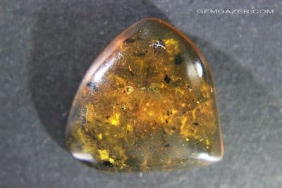 Amber Cabochon with insect and plant inclusions, Myanmar.  9.89 carats.