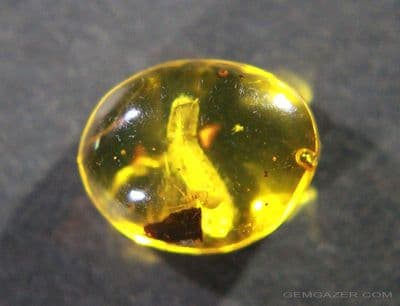 Amber cabochon with Millipede and Spider. Dominican Republic.  2.28 carats.