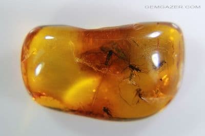 Amber cabochon with multiple Gnats, Baltic region. 2.71 carats / 0.523 grams.
