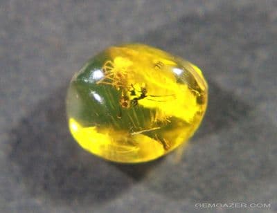 Amber cabochon with Spider and Ant inclusions, Dominican Republic.  1.14 carats.
