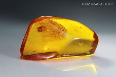 Amber cabochon with Spider inclusion etc. Baltic region. 10.24 carats / 2.048 grams.