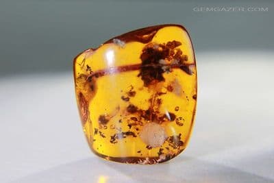 Amber specimen with Ant etc. Dominican Republic. 9.60 carats / 1/92 grams.