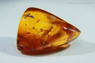 Amber specimen with Ant, Gnat etc. Dominican Republic. 14.74 carats / 2.94 grams.