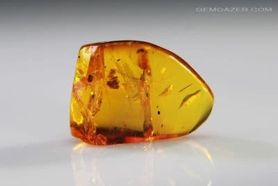 Amber specimen with Ant inclusion, Dominican Republic. 1.79 carats / 0.35 gram.