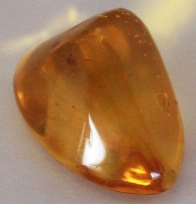 Amber specimen with botanical inclusions, Chiapas, Mexico.   7.99 carats. ** SOLD **