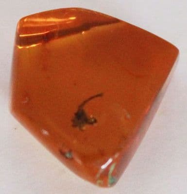 Amber specimen with Flower inclusion, Dominican Rep. 12.52 carats.