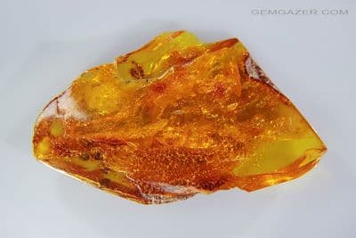 Amber specimen with Flower, Spider inclusions etc. Baltic region. 35.08 carats / 7.01 grams.