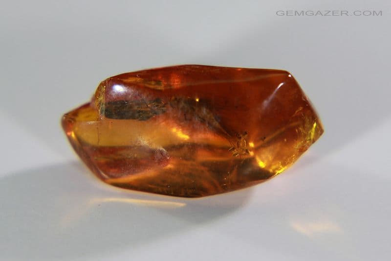 Amber specimen with Moth laying eggs polished Dominican
