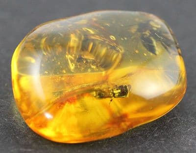 Amber specimen with Muscid Fly inclusion, Dominican Rep.  7.74 carats