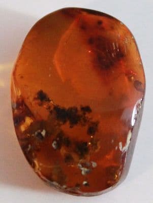 Amber specimen with Snail inclusion, Chiapas, Mexico.  6.55 carats.