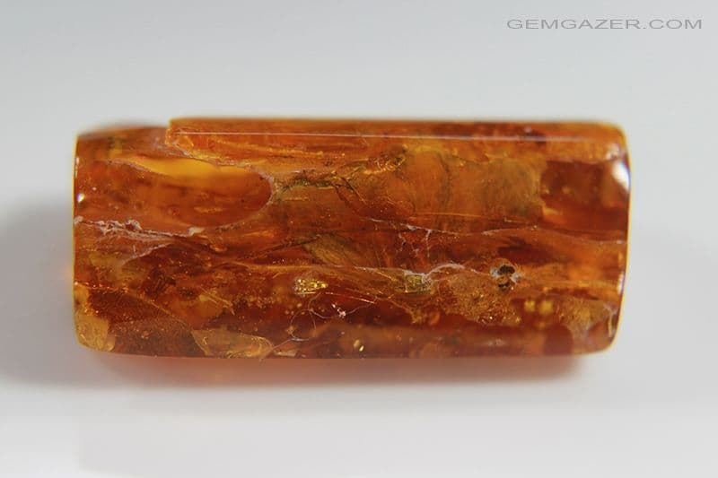 Amber specimen with Wasps & botanical inclusions Baltic Region 24 12 ...