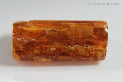 Amber specimen with Wasps & botanical inclusions, Baltic Region. 24.12 carats / 4.82 grams.