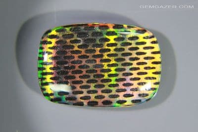 Aurora Synthetic Opal triplet cabochon, Australia. 17.53 carats. (Video)