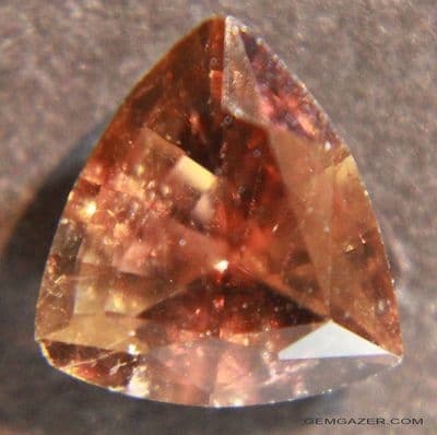 Axinite, faceted, Sri Lanka.  1.62 carats.
